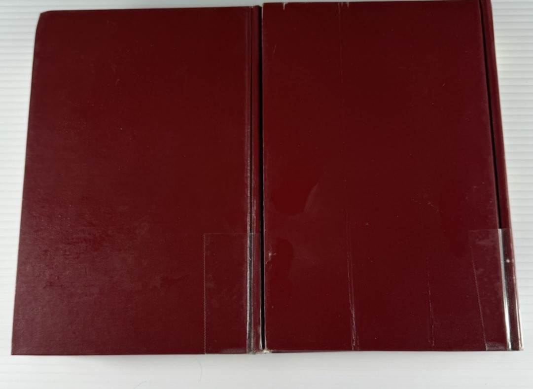 Masterplots Revised 2nd Edition 1996 2 Vol Set Salem Press HC