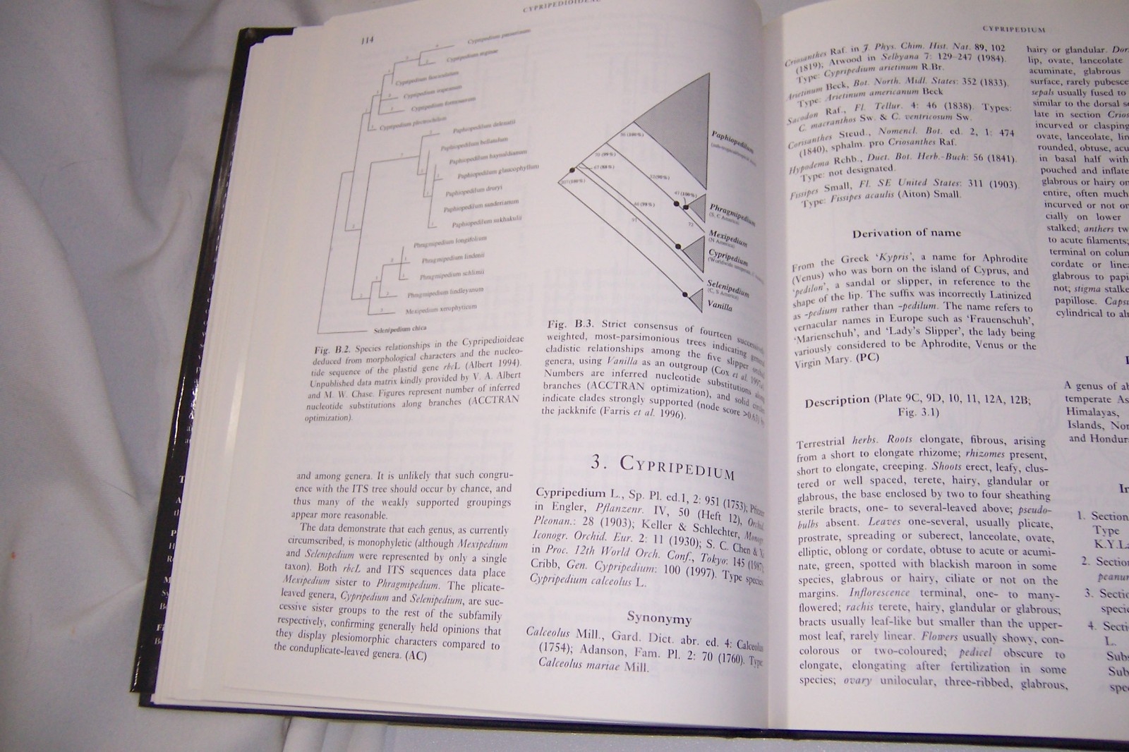 Genera Orchidacearum Ser.: Genera Orchidacearum : General Intro Vol. 1 (1999 HC)