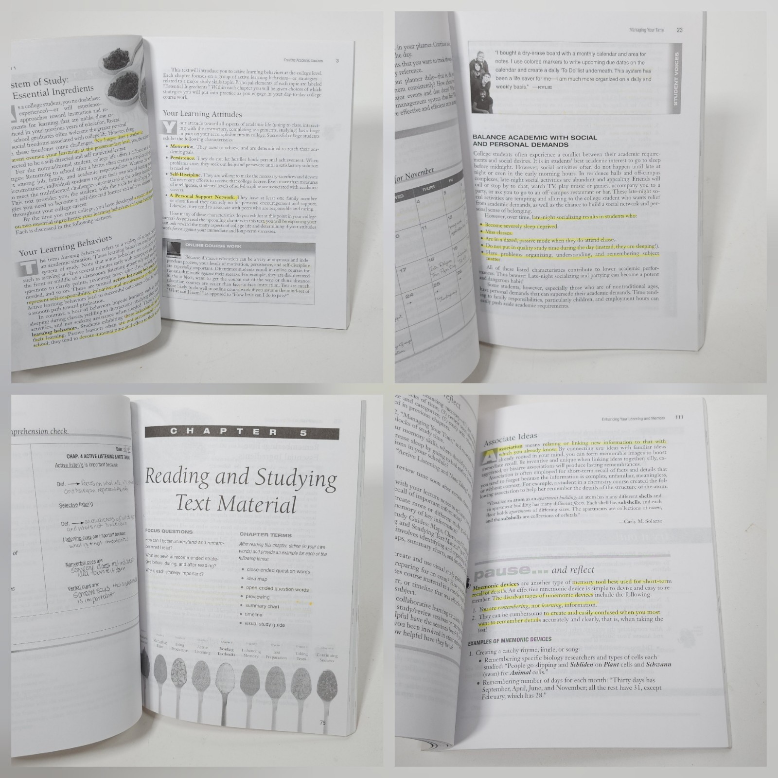 College Efficient Flexible Reading Study Skills Textbook Lot Lipsky Freshman Lot