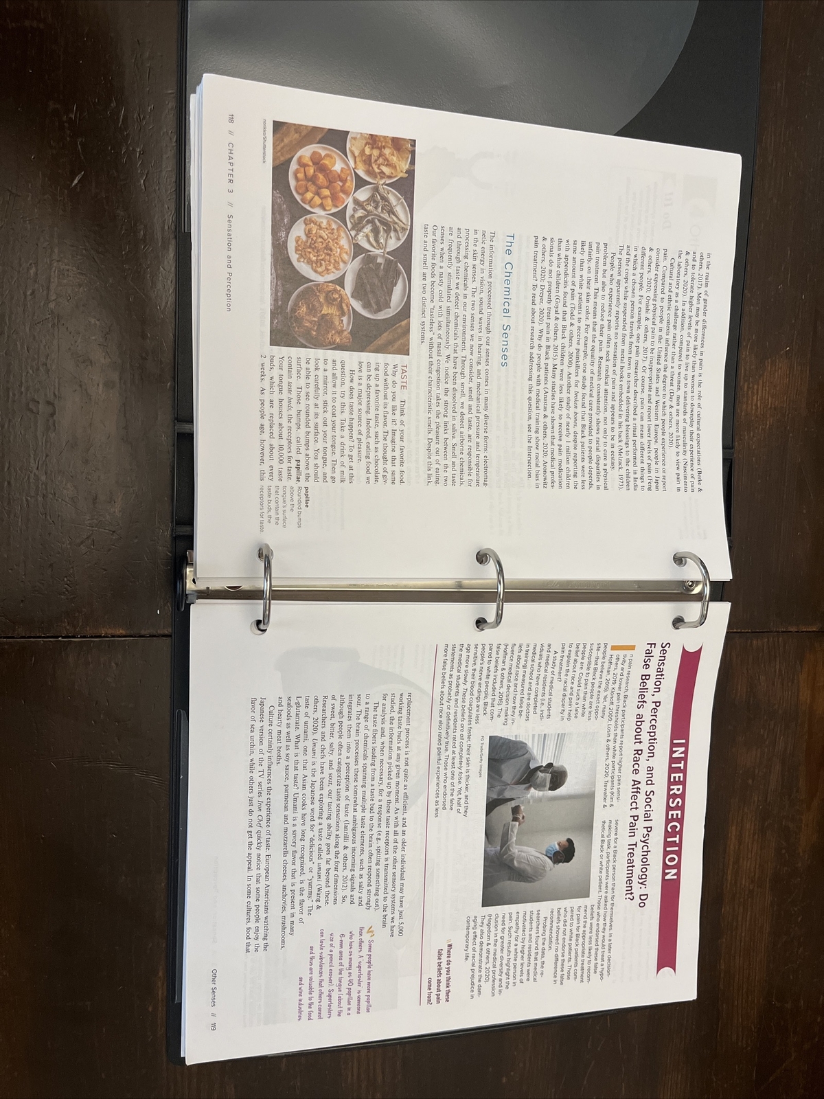 Loose Leaf Experience Psychology by Laura A. King (2021, Ringbound)