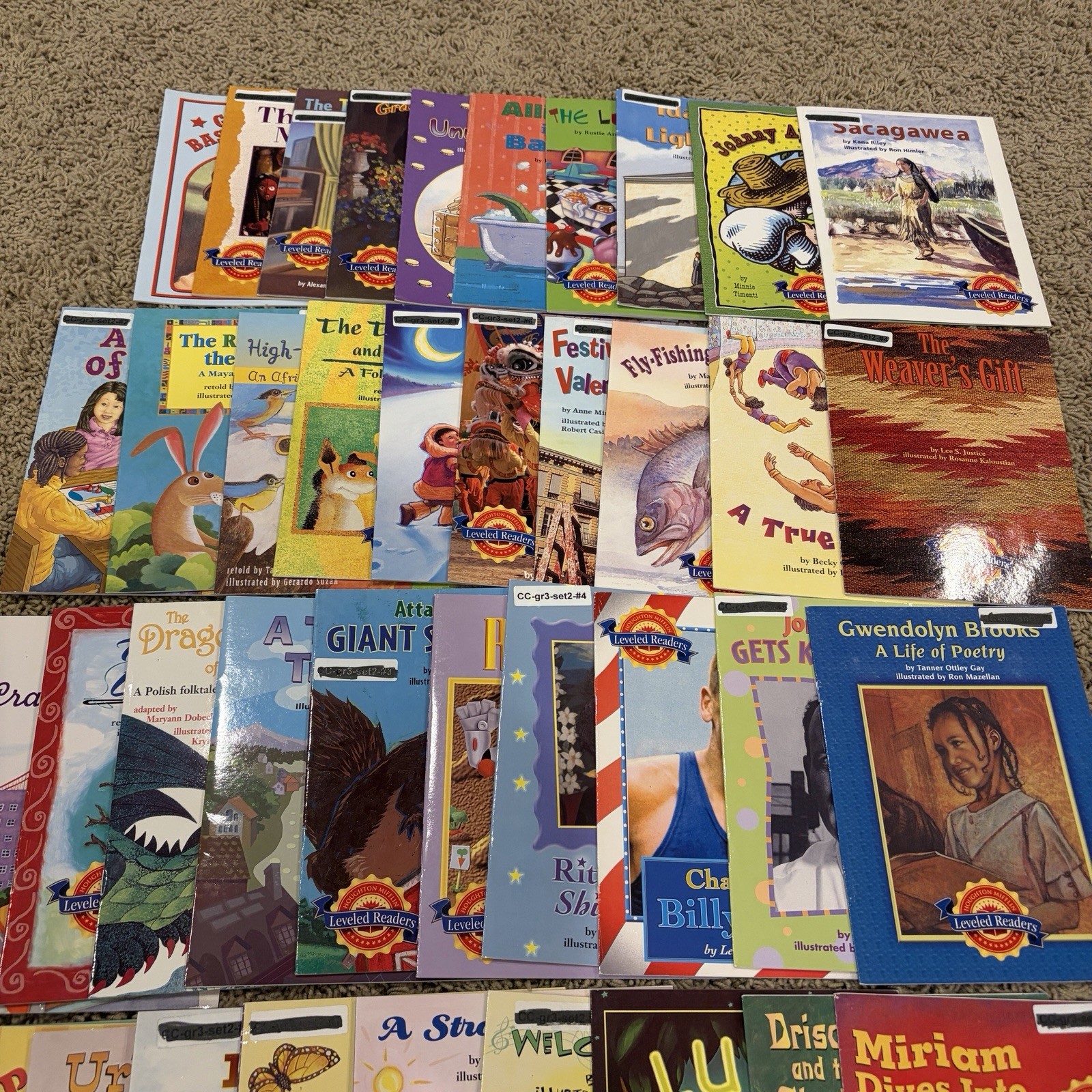 Houghton Mifflin Leveled Readers Level 3 Lot of 65 – 2004