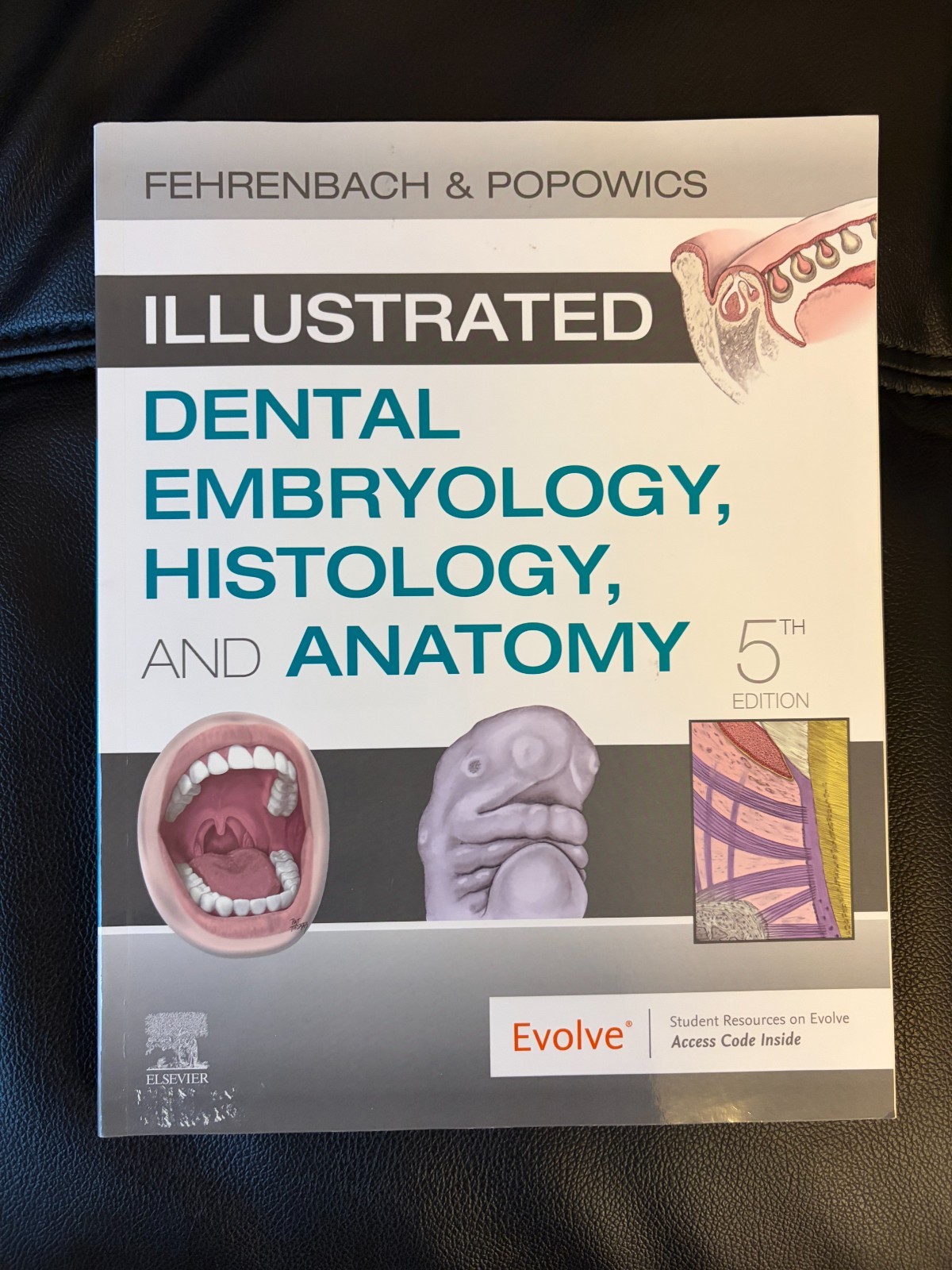 Illustrated Dental Embryology Histology and Anatomy by Margaret J Fehrenbach 5th