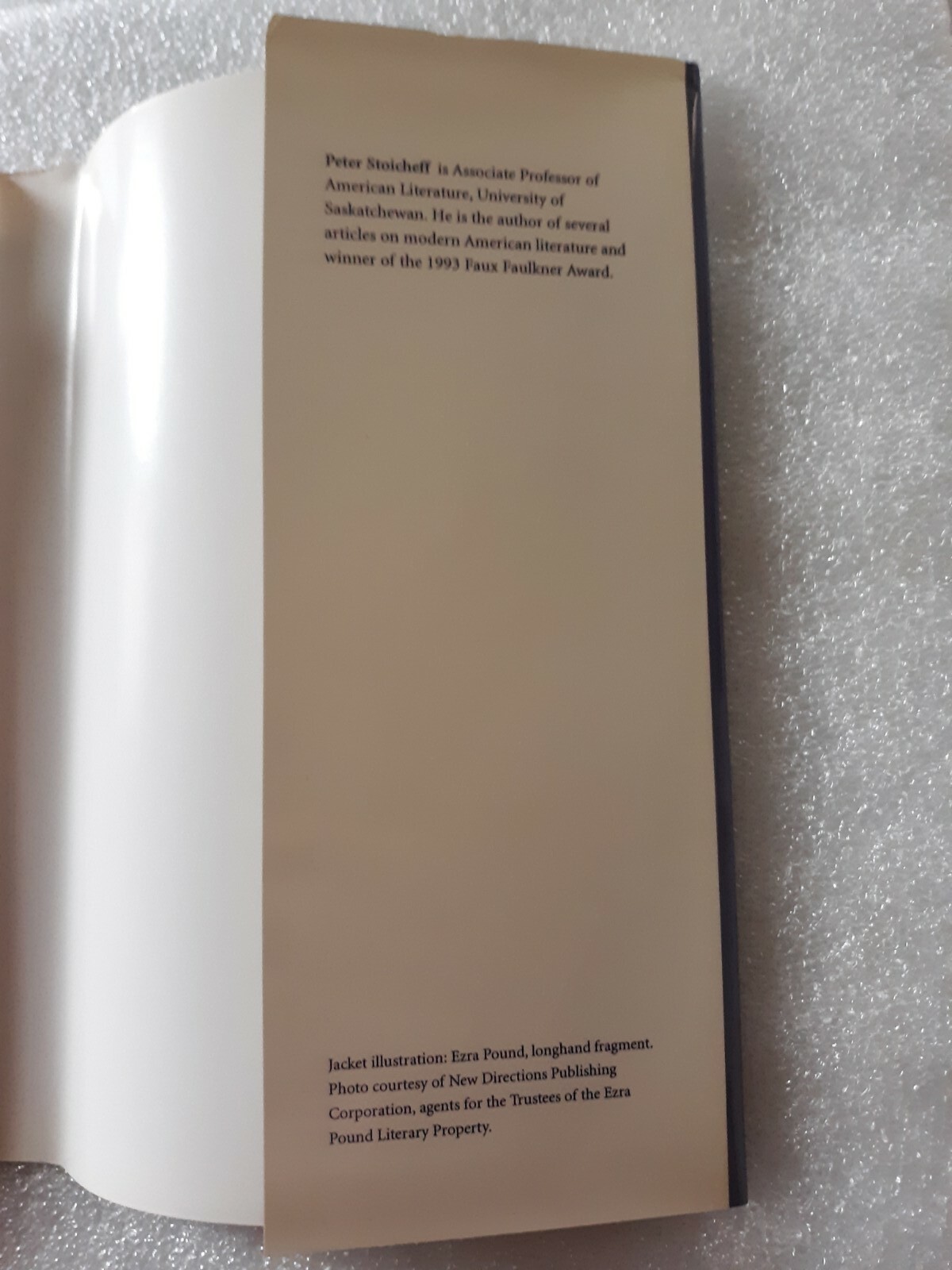 The Hall Of Mirrors, Peter Stoicheff, HCDJ, 1995, 1st Print, Ezra Pound, mh
