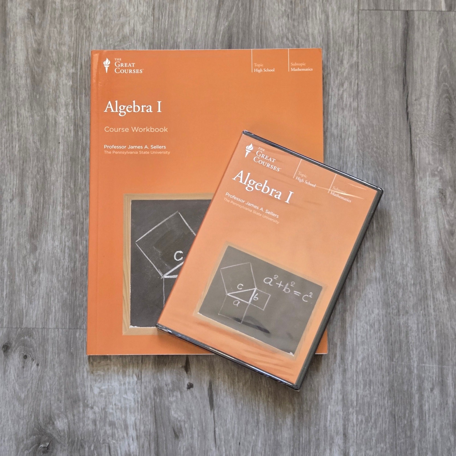 NEW The Teaching Company The Great Courses Algebra 1 Course DVD and Workbook