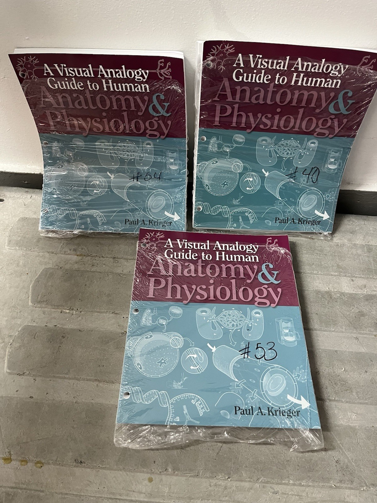 A Visual Analogy Guide to Human Anatomy & Physiology Paperback by Paul Krieger