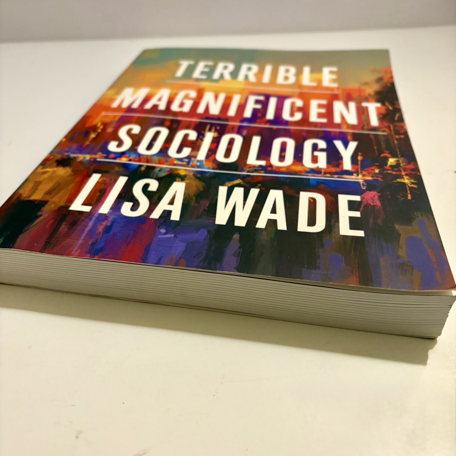 Terrible Magnificent Sociology by Lisa Wade (2021, Trade Paperback)