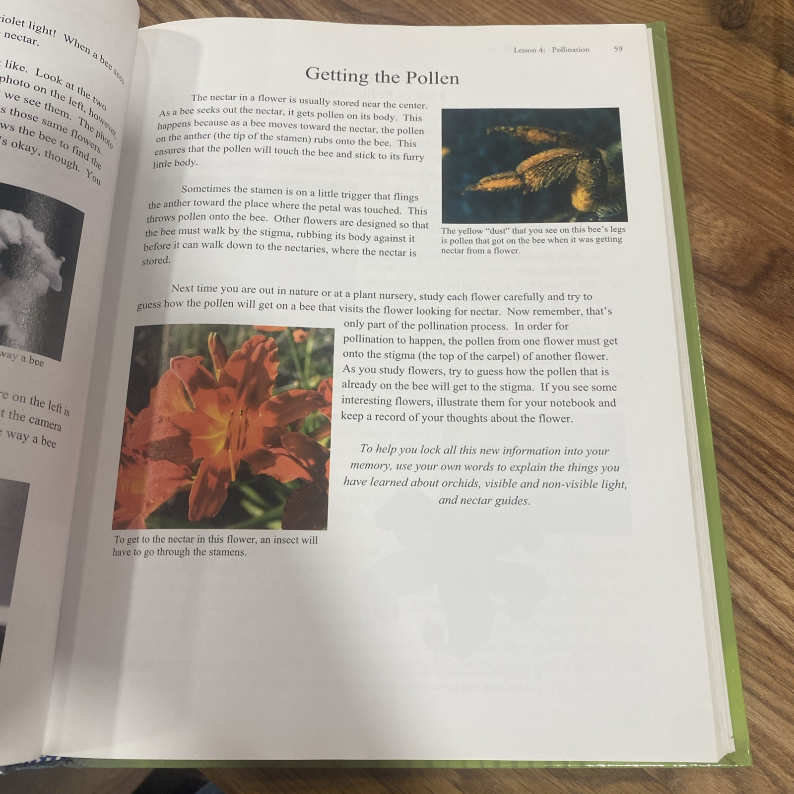 Apologia Exploring Creation with Botany Young Explorers Series Hardcover