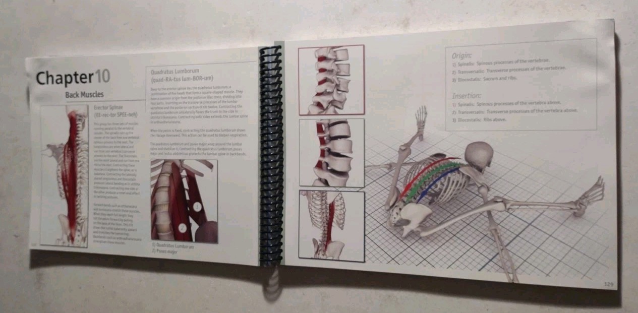 Scientific Keys Volume 1 The Key Muscles of Hatha Yoga by Raymond A. Long 2006.