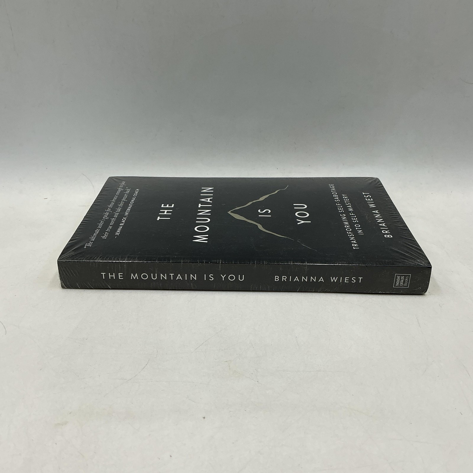 The Mountain Is You Brianna Wiest Black Trade PB 2020 Thought Catalog Self-Help