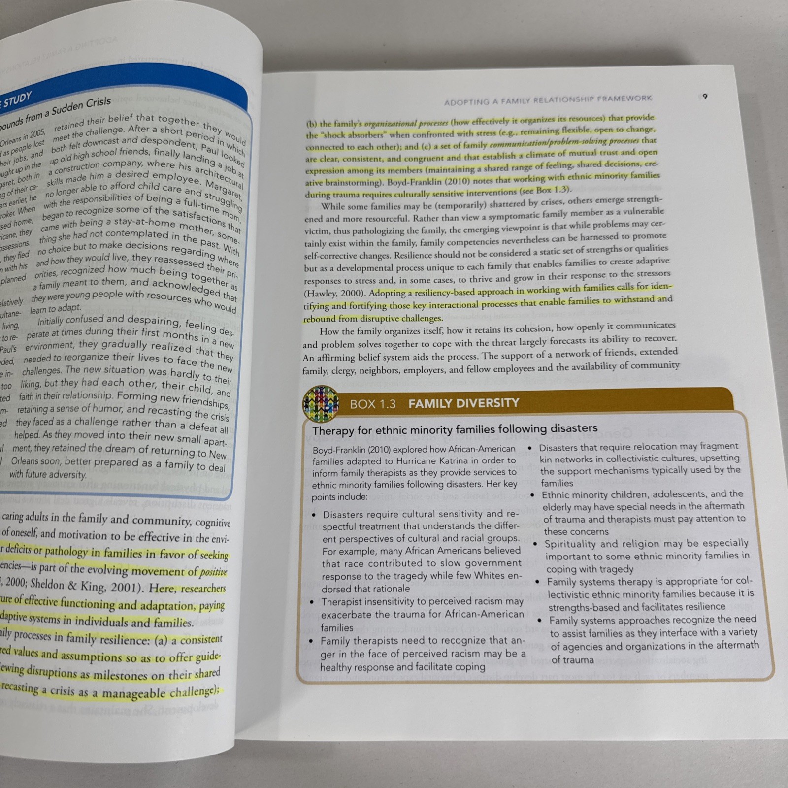Cengage Family Therapy An Overview 9th Edition Hardcover Goldenberg Stanton