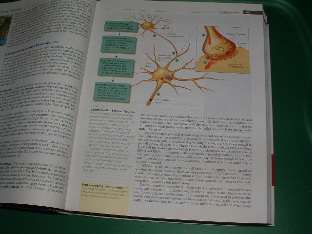 Psychology Instructor’s Edition 9th Ed Bernstein Penner Stewart Roy 2012