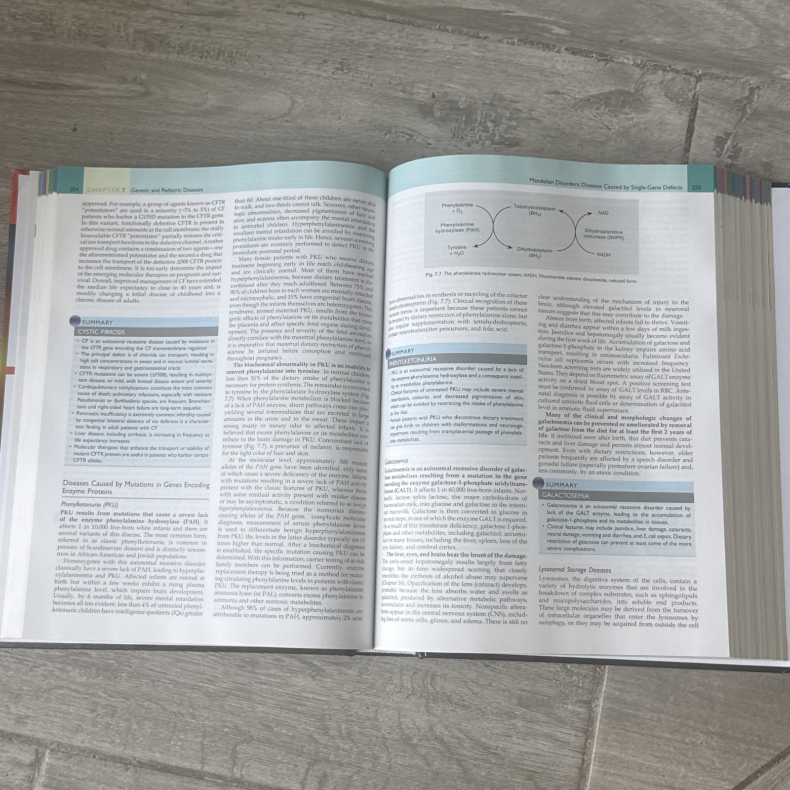 🌟 Robbins Basic Pathology Tenth Edition with Student Consult