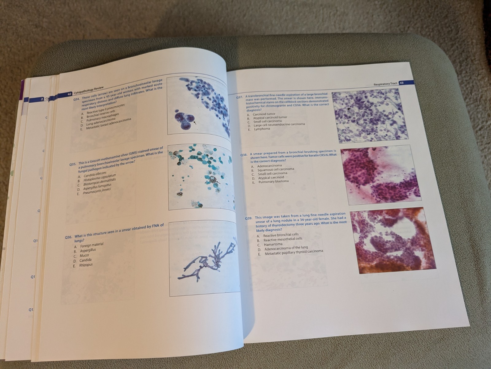 Cytopathology Review 2nd Edition by Fan, Fang, M.D. & Damjanov, Ivan, M.D.