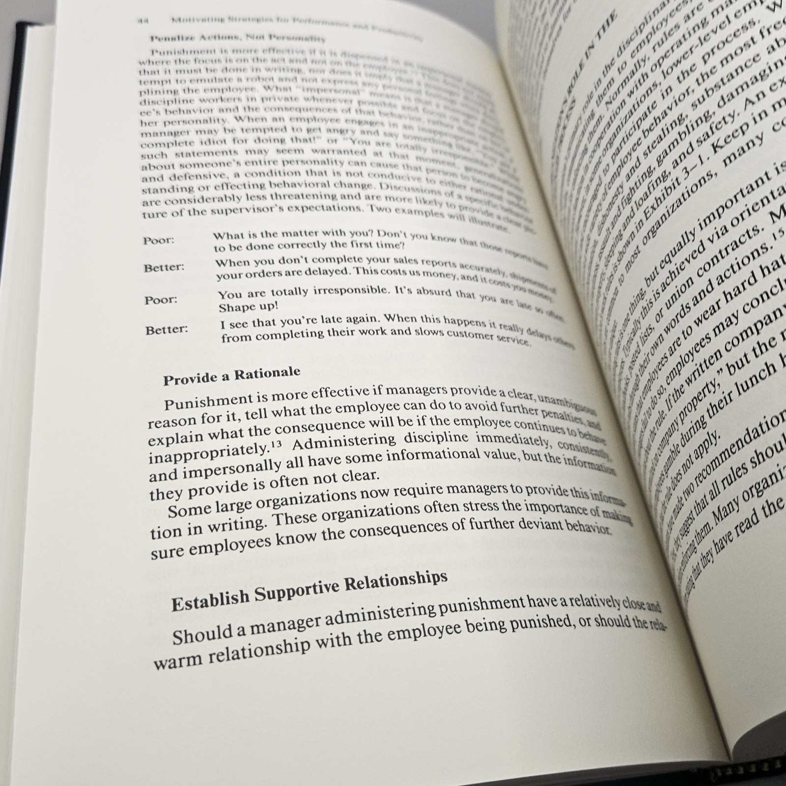 Motivating Strategies for Performance and Productivity : A Guide to Human…
