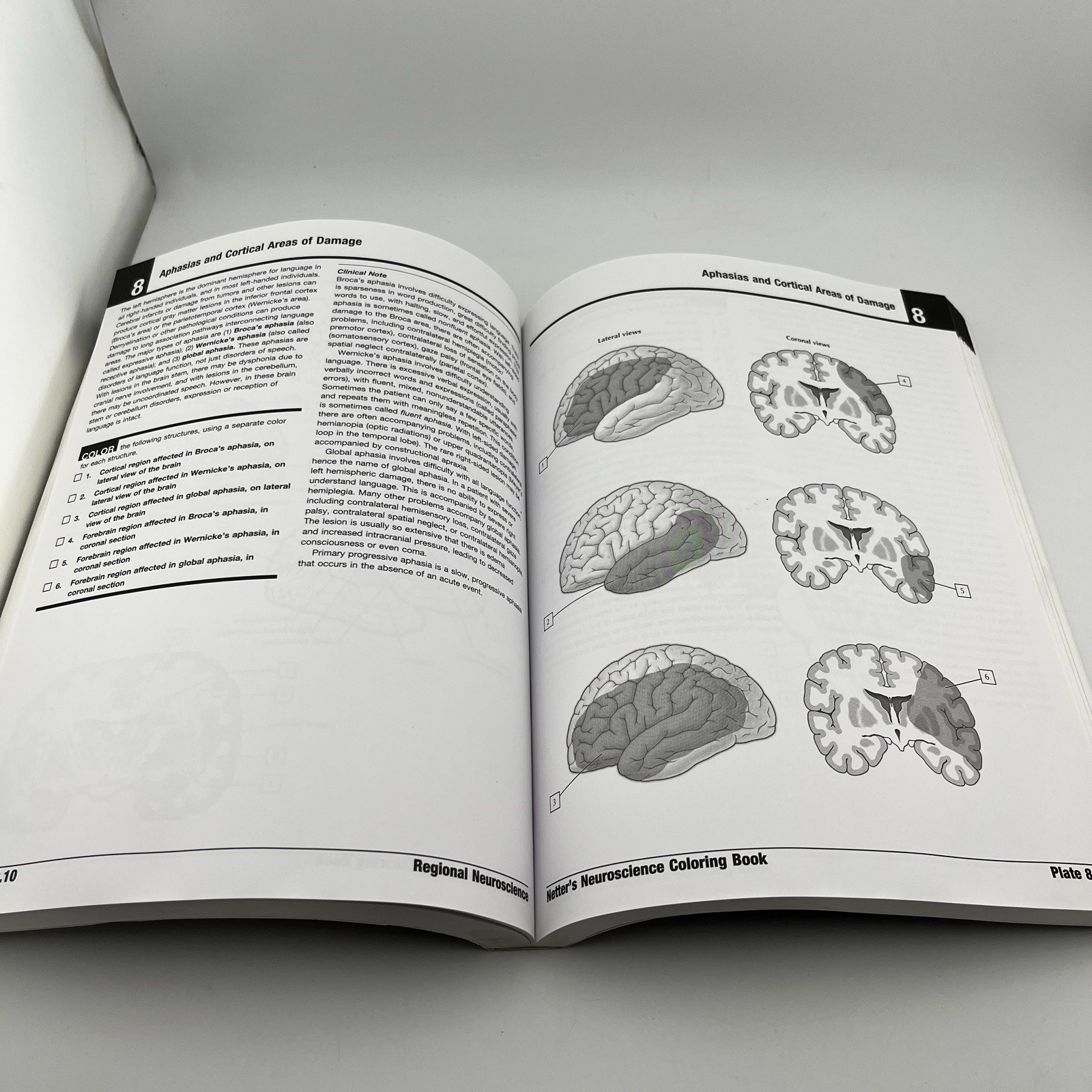 Netter’s Neuroscience Coloring Book, 1e,David L. Felten MD PhD,Mary E Maida P