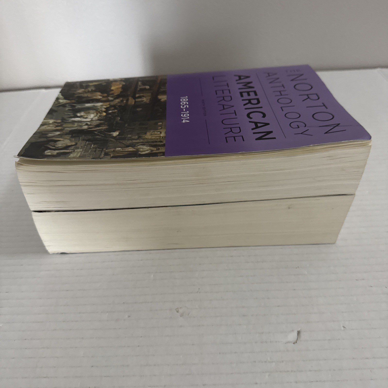 The Norton Anthology of American Literature 9th Edition, 2 Vol Set (B & C)