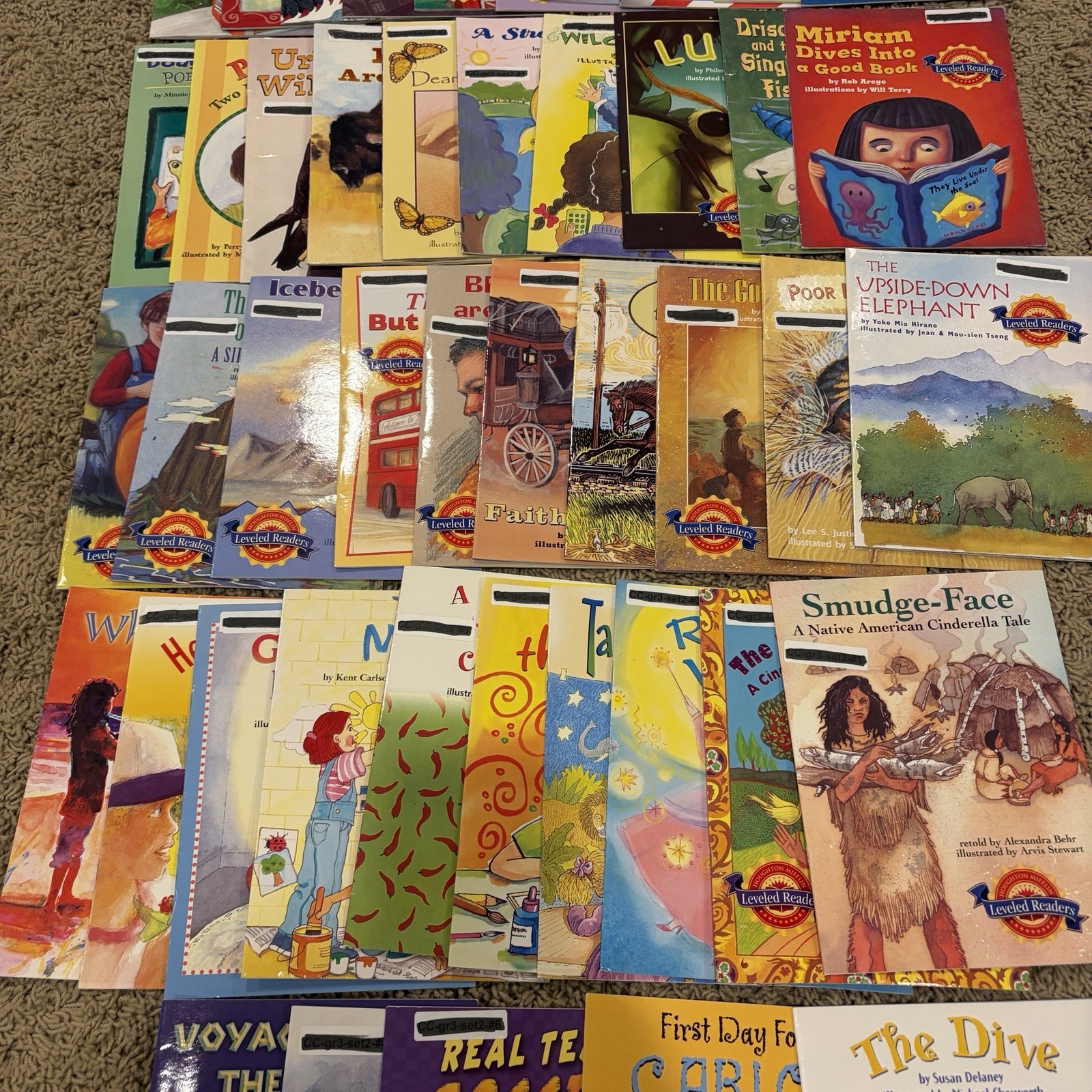 Houghton Mifflin Leveled Readers Level 3 Lot of 65 – 2004