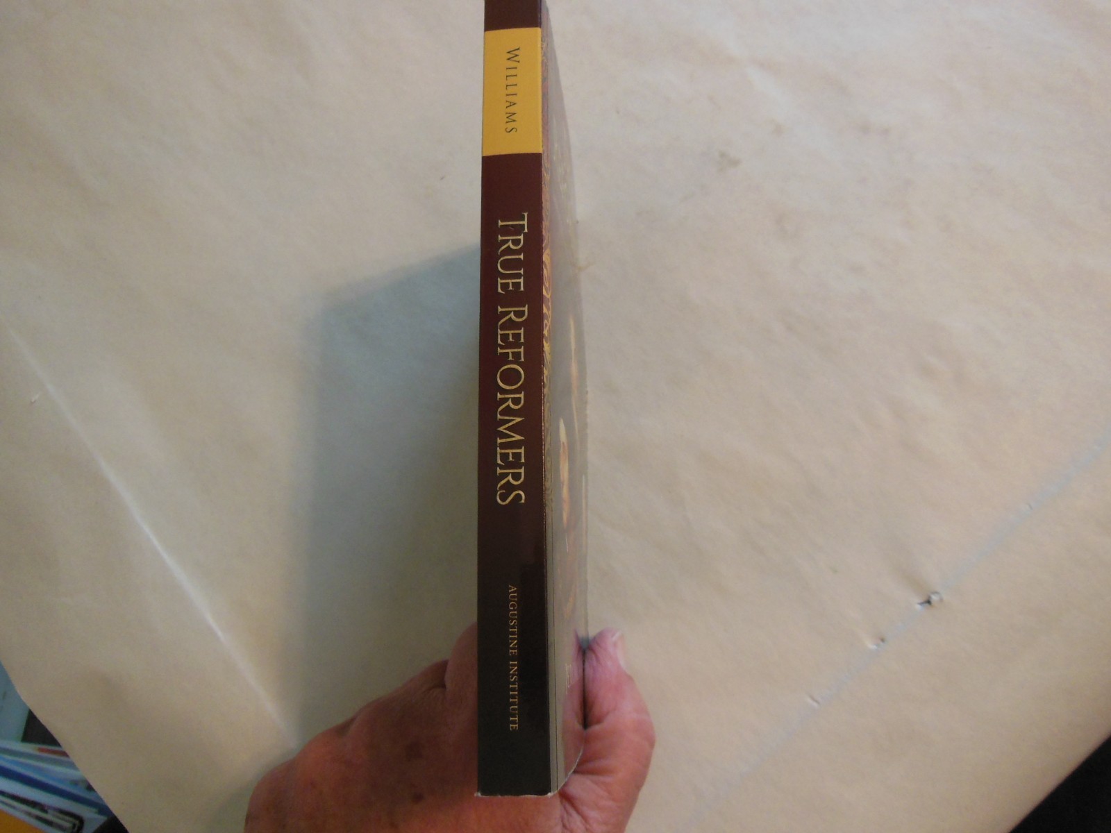 True Reformers: Saints of the Catholic Reformation by Jerome K. Williams (2017)