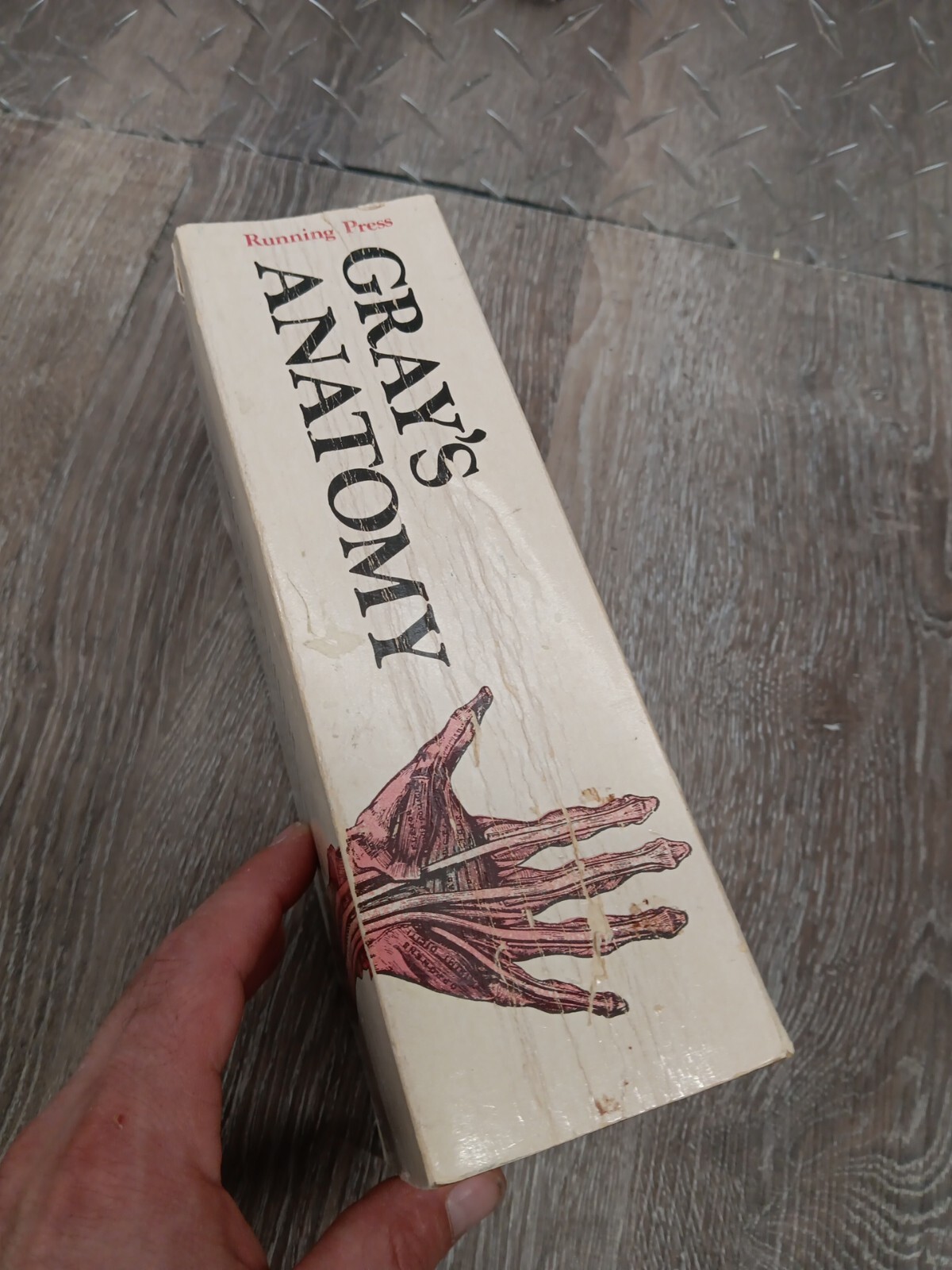 Gray’s Anatomy The ILLUSTRATED Running Press Edition Of The American Classic ’74