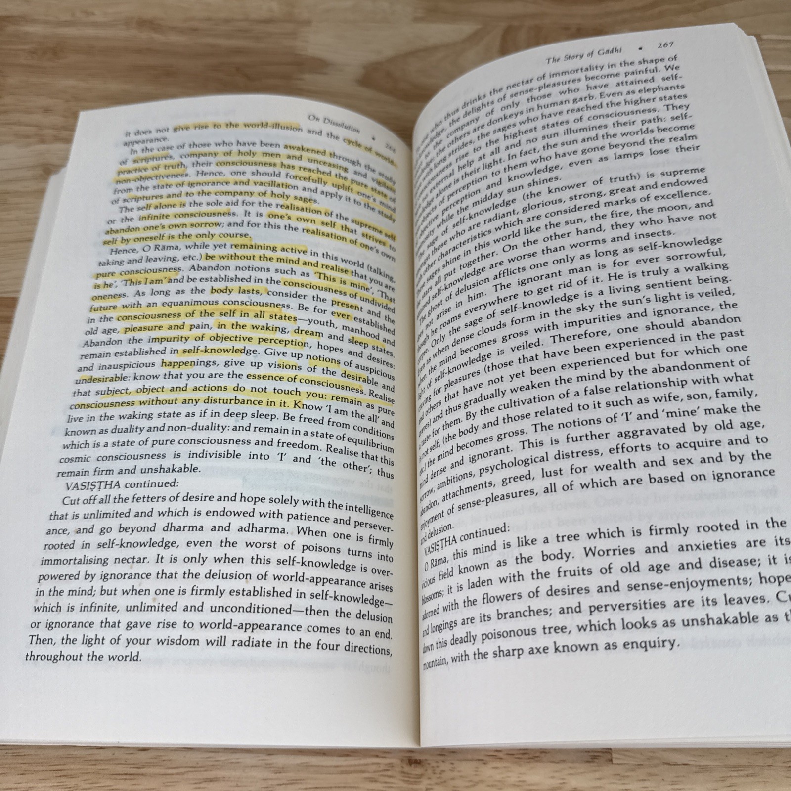 Vasistha’s Yoga SUNY New York Press Paperback Swami Venkatesananda 1993
