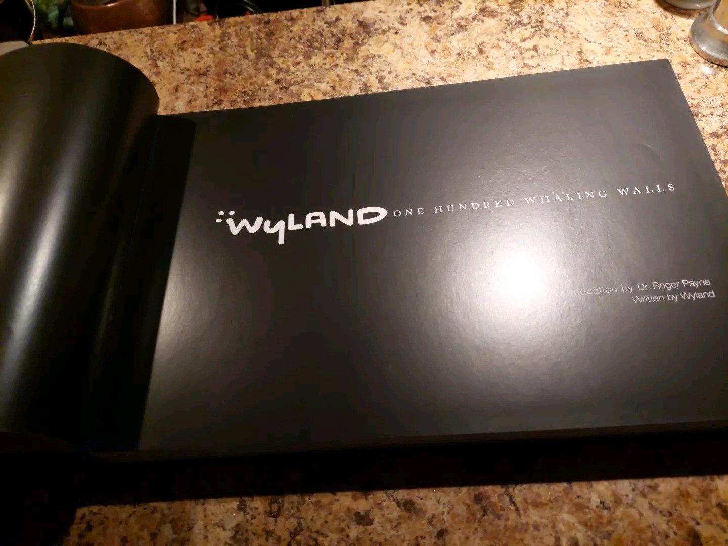 Wyland One Hundred Whaling Walls Mural Art Coffee Table Book – Signed