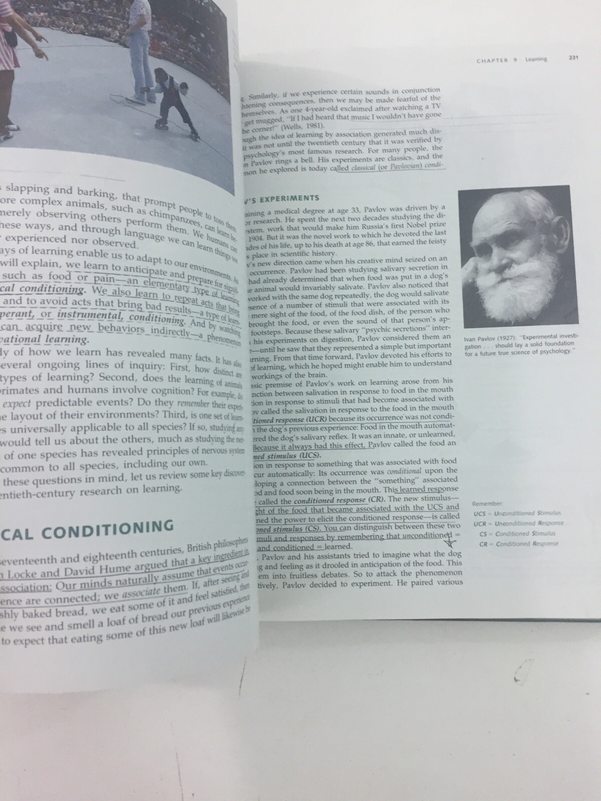 Psychology in Modules – David G. Myers (1988, Hardcover)
