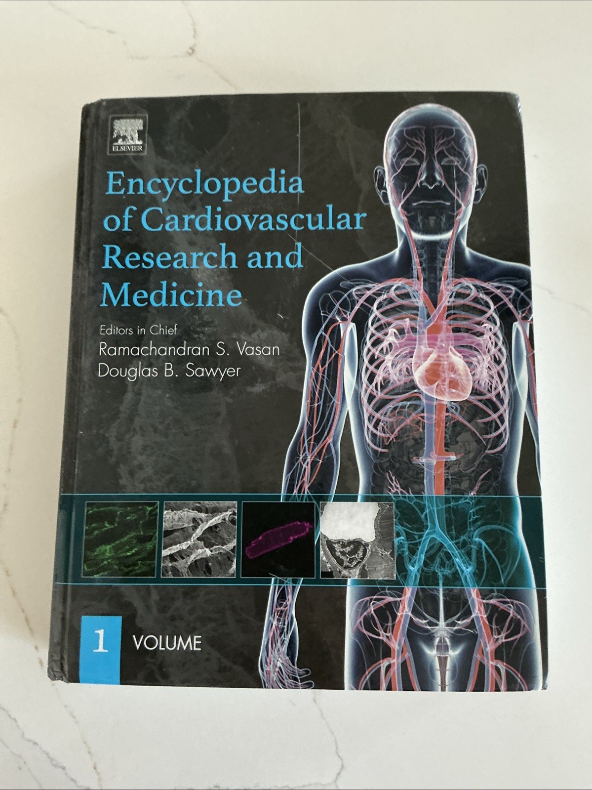 Encyclopedia of Cardiovascular Research and Medicine Volume by Sawyer