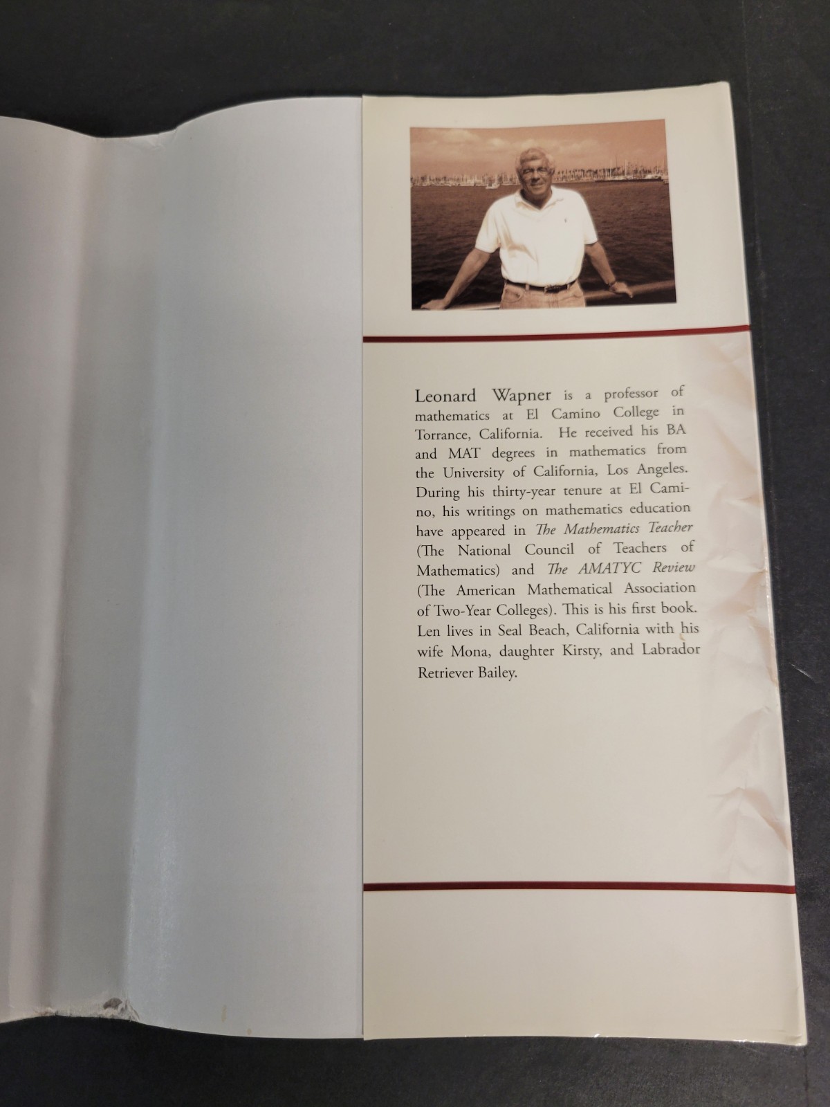 THE PEA AND THE SUN Mathematical Paradox by L. Wapner (2005, HCDJ) VERY GOOD