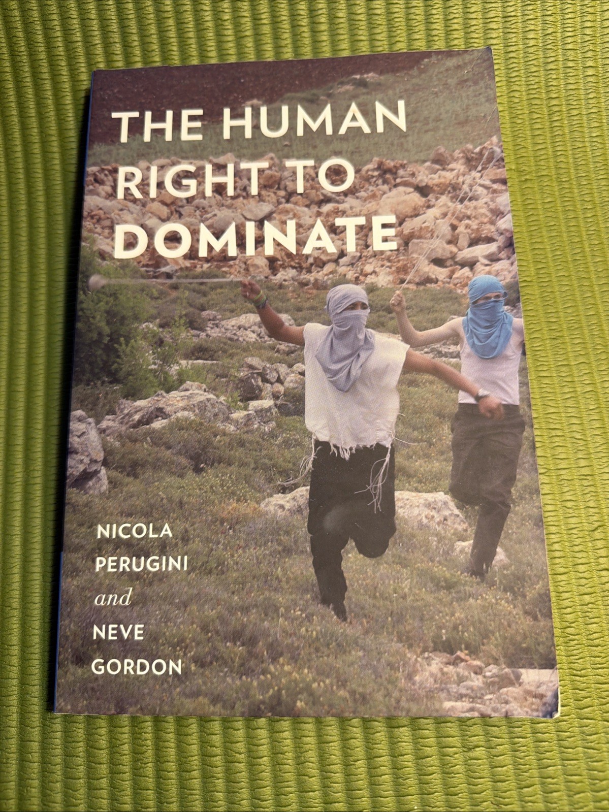 Oxford Studies in Culture and Politics Ser.: Human Right to Dominate by…