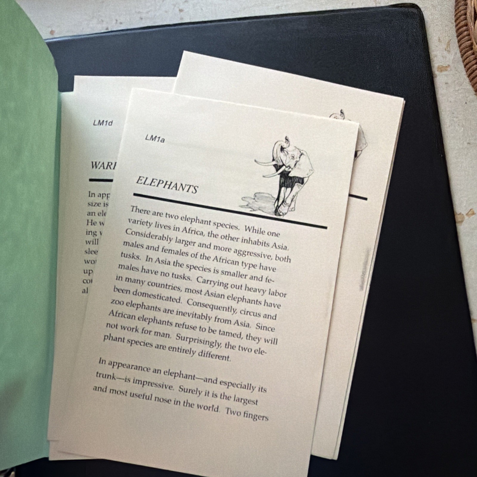 Teaching Writing: Structure and Style [Seminar Workbook] by Andrew Pudewa