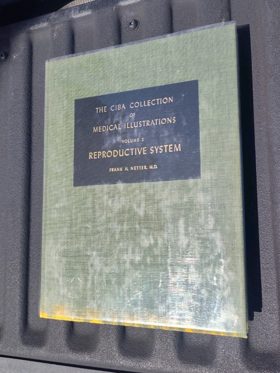The Ciba Collection of Medical Illustrations 10 Volumes F Netter- Classic Set HB