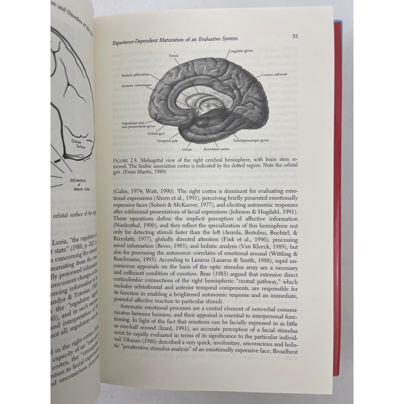 Allan N Schore Affect Regulation 2 Vol Set Disorders Repair of the Self 1st Ed