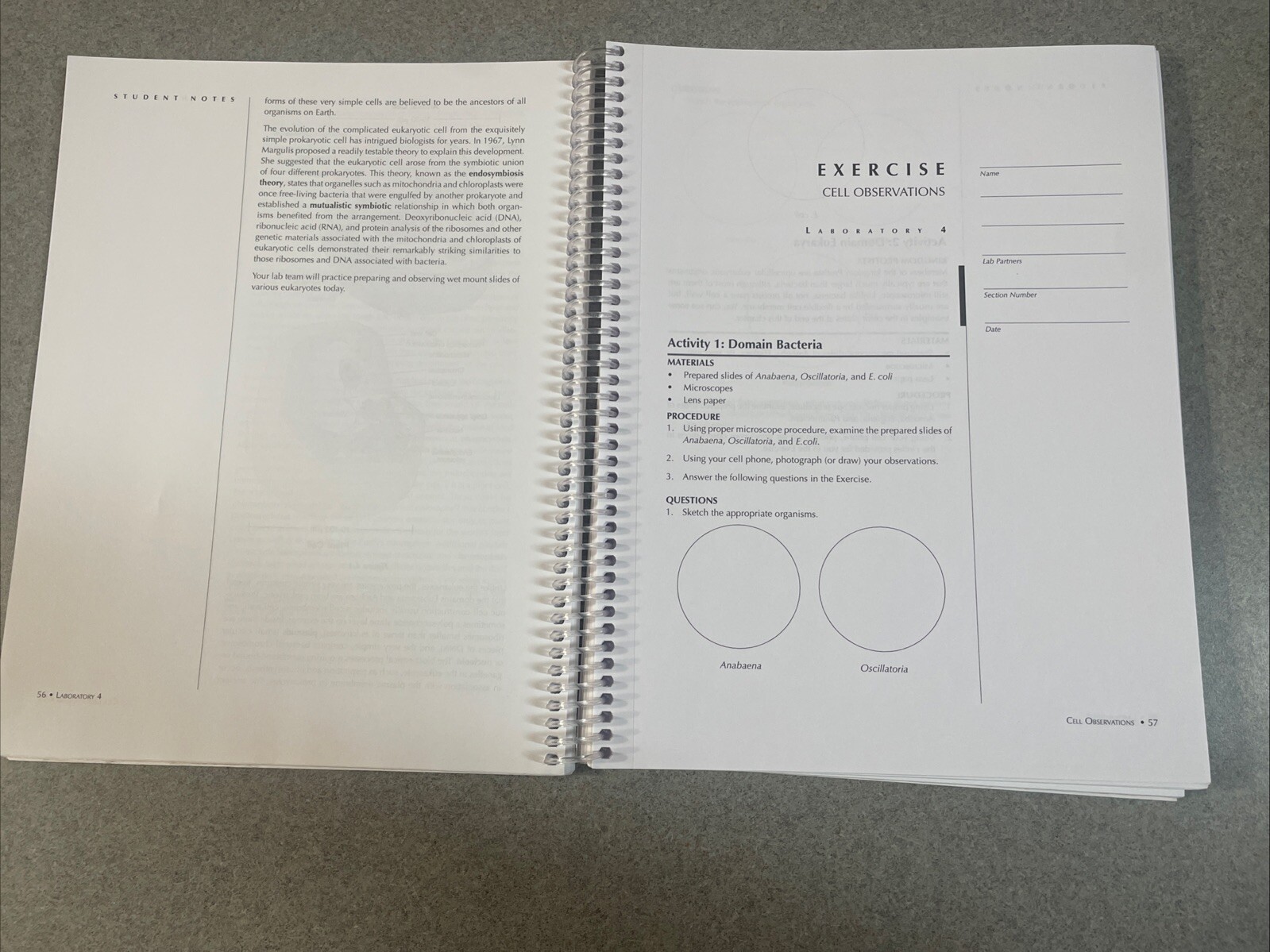 HM Biology 103: Principles of Biology Lab Manual for Shelton State Community Col